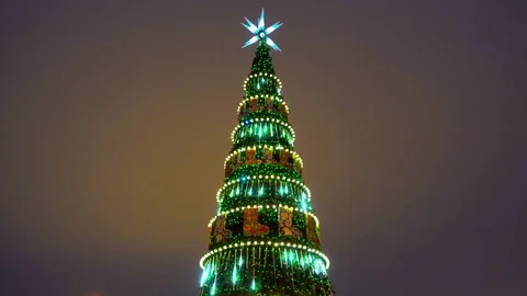 Night Christmas Tree 動画素材 71298689