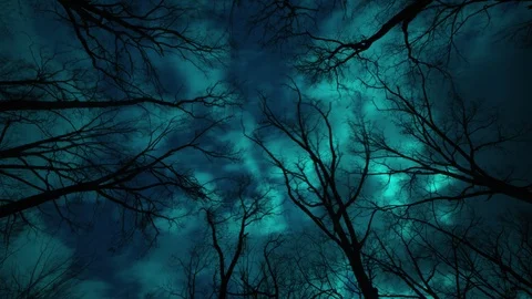 Night Cinematic Time Lapse of Clouds and Moonlight over a Forest Stock Footage 104842961
