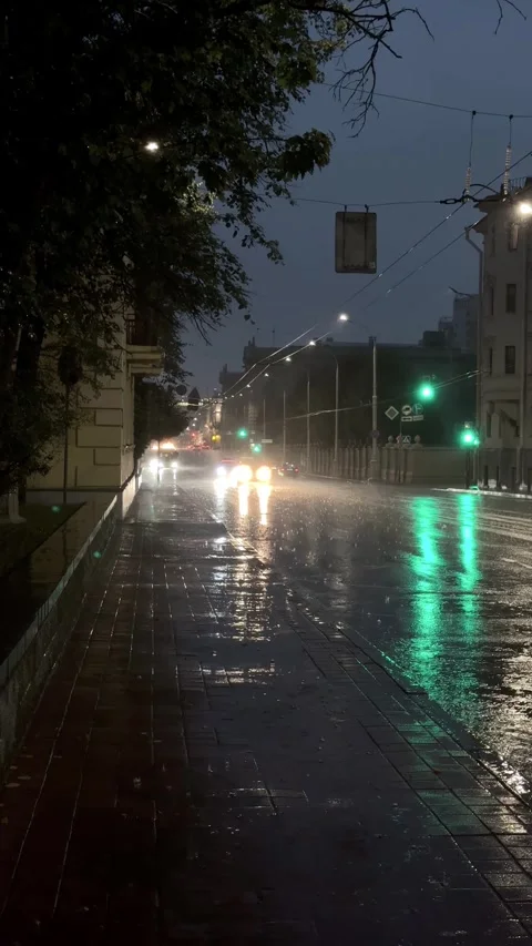 Night city scene during heavy rain, slow motion raindrops,Vertical 9:16 video 库存影片 340516662