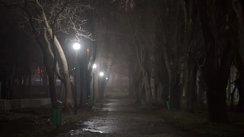 Night city scene, empty dark alley lit by lanterns in a city park  autumn night. Video stock 126222905