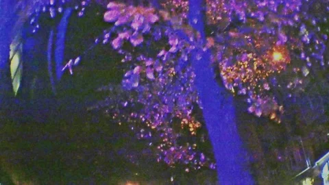 Night city streets hyper lapse. Messed urban walking. Noisy outdoors visuals. Stock Footage 134677336