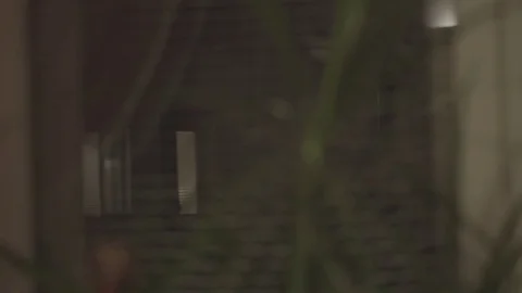 Night City Window View Plants HD Stock Footage 82173893