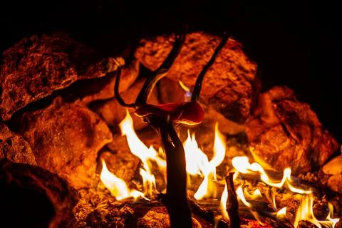 Night close up of chichen stake coocing on burning branch over fire in firepl Stock Photos