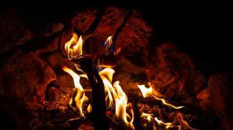 Night close up of chichen stake coocing on burning branch over fire in firepl Stock Photos
