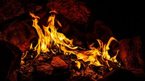 Night close up of chichen stake coocing on burning branch over fire in firepl Stock Photos