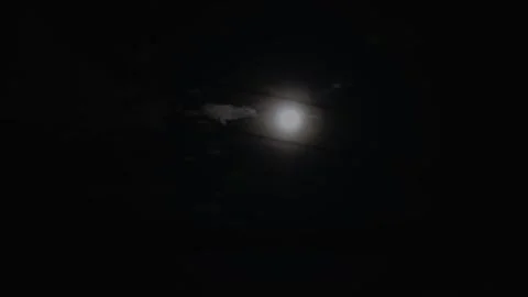 Night clouds moving in top of moon 4k Video stock 245933296