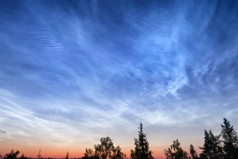Night cloudy sky over deep forest Foto stock