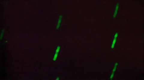 Night club scenes - hot brunette gets lit in the dark silhouette Stock Footage