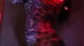 Night club scenes- hot female torso gyrating slow motion pole dance HD Footage