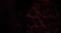 Night club scenes - hot female body gyrating long legs HD Footage