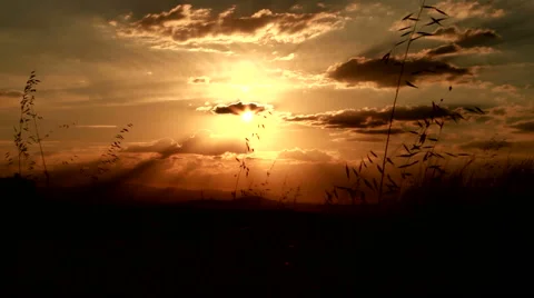 The night comes in the field Stock Footage 51990233