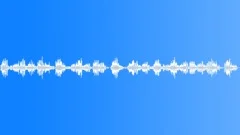 Night cricket 01Sound Effect