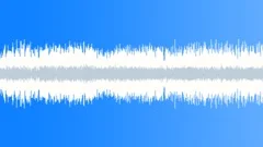 Night crickets LOOP Sound Effect