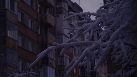 Night to day timelapse of snowy tree and living building behind Stock Footage 83080113