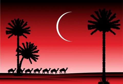 Night in desert Illustrazione stock