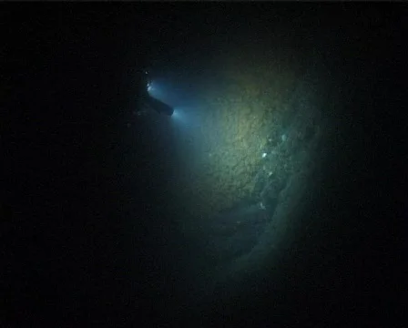 Night Diver (C030) 動画素材 99425