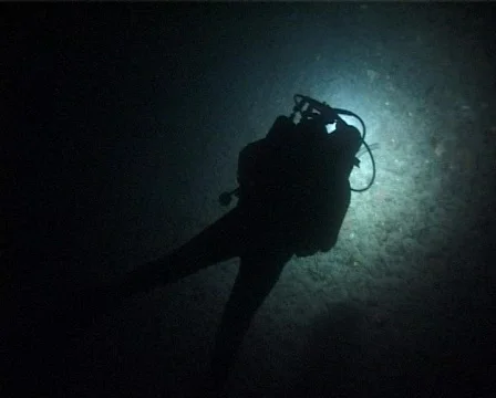 Night Diver (C031a) 動画素材 100670