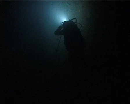 Night Diver (C031b) 動画素材 100671