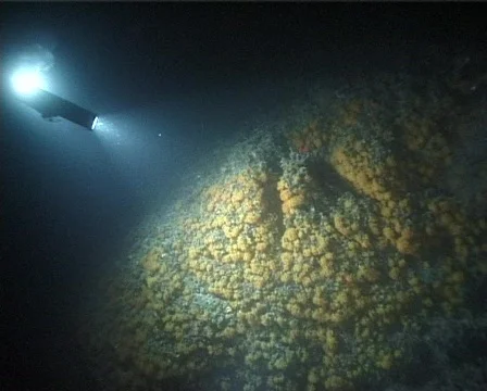 Night Diver (C034) 動画素材 100677