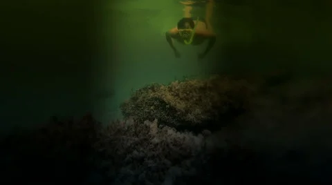 Night diving in the sea Stock Footage 51115267