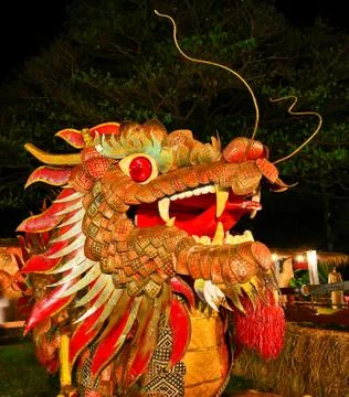 Night dragon Stock Photos