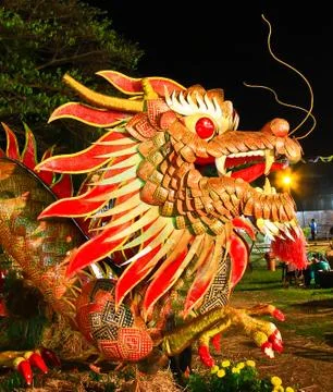 Night dragon Stock Photos