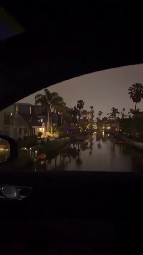 Night Drive Along Scenic Canal Lined with Palm Trees and Houses Stockbeeldmateriaal 340263870