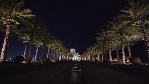 Night drives through palm-lined avenue 스톡 동영상 337764061