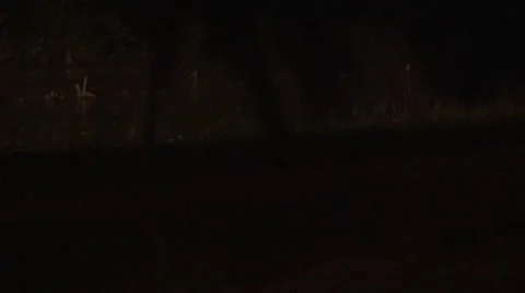 Night Driving In The Storm, Rain, Wind And Thunder 스톡 동영상 41065945