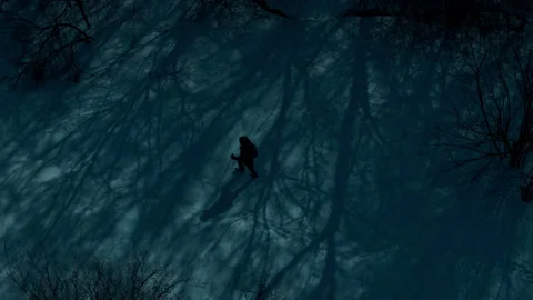 Night drone shot of lone figure walking across snow-covered forest path Video stock 315518355