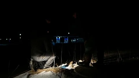 Night emergency work Stock Footage 73802520