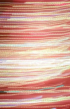Night exposure motion lines texture. Light traces background. Lights trails d Stock Photos