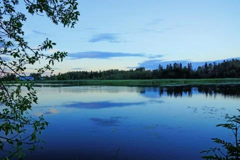 Night fall on a pond Stock Photos