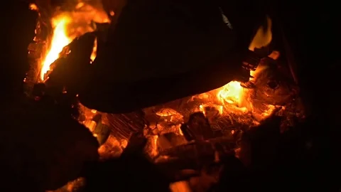 Night fire. Bonfire Stock Footage 74499645