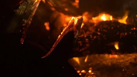 Night fire. Bonfire Stock Footage 74500628