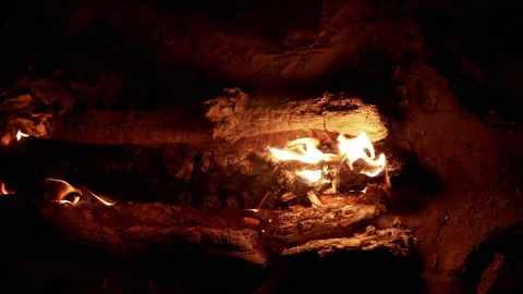 Night Fire: Burning Logs Close-Up Stock-Footage 293280246