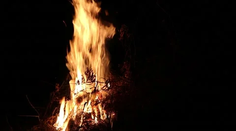 Night fire of dry branches Video stock 41287049