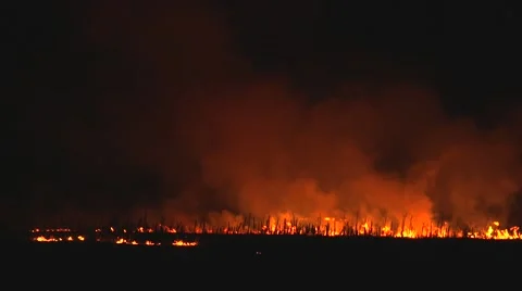 Night fire in the field. Dry grass burning. Video stock 61766940