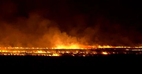 Night Fire In The Field. Dry grass burning. 4K Stock Footage 61766998