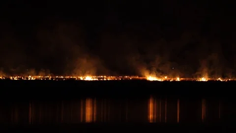 Night Fire In The Field. Dry grass burning Stock Footage 88476436