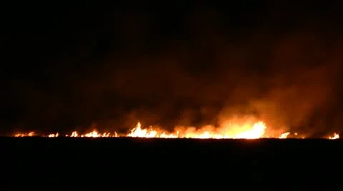 Night fire in the field Stock Footage 22148909