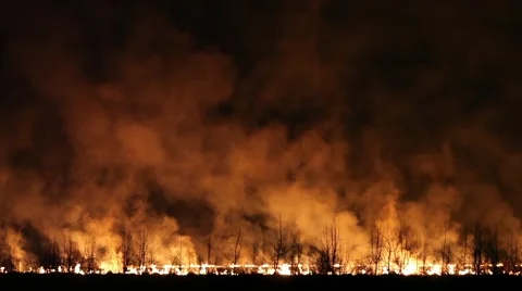 Night fire in a field Stock Footage 47880506
