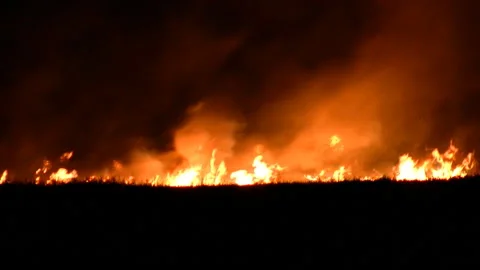 Night fire in the field Видео 106485439