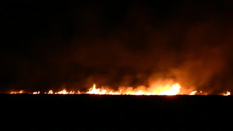 Night fire in the field Видео 106485456