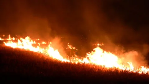 Night fire in the field Видео 106485570
