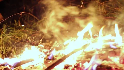 Night fire Video stock 81514311