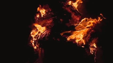 Night fire in the forest with fire and smoke.Epic aerial video of a smoking Stock Footage 273174610