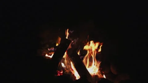 Night fire in the forest. Outdoor fire. Slow motion video. Stock-Footage 301687687