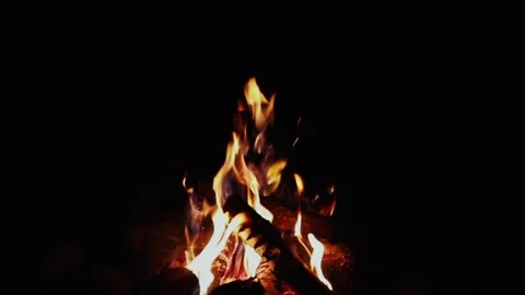Night fire in the forest. Outdoor fire. Slow motion video. Stock-Footage 303359282
