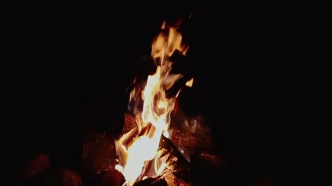 Night fire in the forest. Outdoor fire. Slow motion video. Stock-Footage 306017599